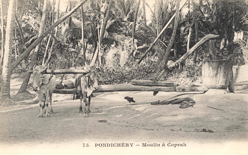 13-18 - Pondichery - moulin a coprah